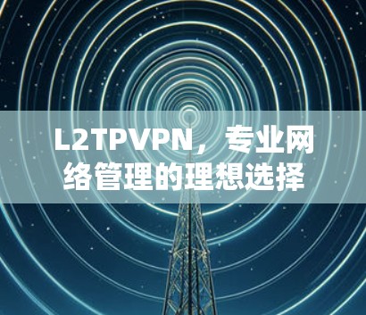 L2TPVPN，专业网络管理的理想选择