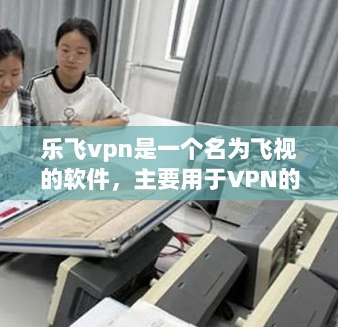 乐飞vpn是一个名为飞视的软件，主要用于VPN的设置和管理。如果你想要下载它的apk文件，可以按照以下步骤操作