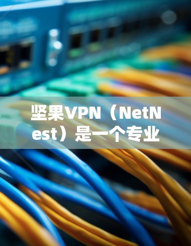 坚果VPN（NetNest）是一个专业的VPN服务，虽然不是官方推荐，但NetNest本身是可靠的。以下是下载坚果VPN的详细步骤