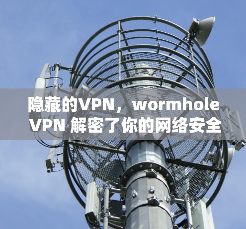 隐藏的VPN，wormhole VPN 解密了你的网络安全密码