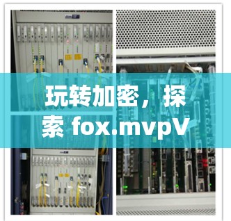 玩转加密，探索 fox.mvpVPN的无限可能