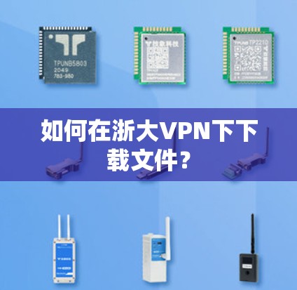 如何在浙大VPN下下载文件？