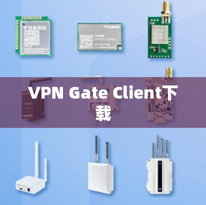 VPN Gate Client下载