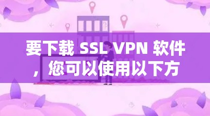 要下载 SSL VPN 软件，您可以使用以下方法