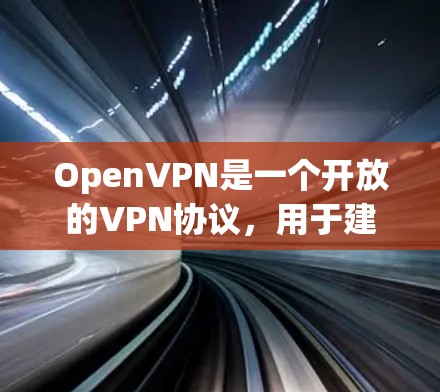 OpenVPN是一个开放的VPN协议，用于建立和管理VPN连接。它允许用户通过互联网进行加密通信，同时保护用户的数据和隐私