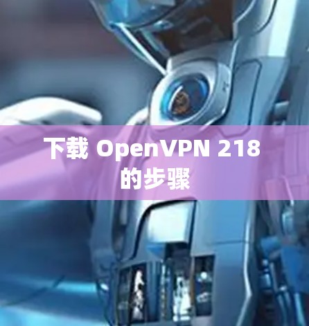 下载 OpenVPN 218 的步骤