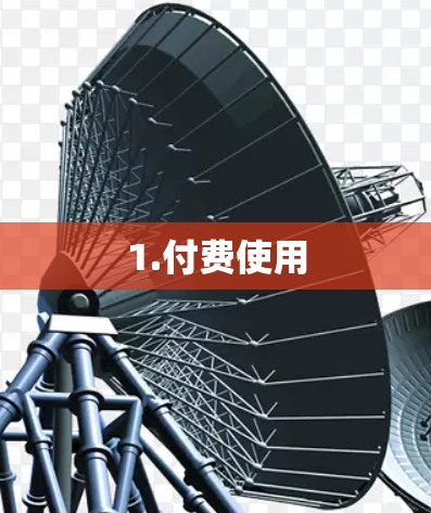 1.付费使用 1.付费使用