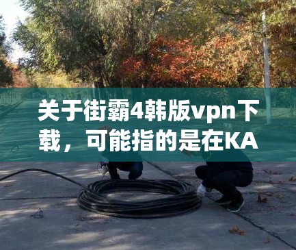 关于街霸4韩版vpn下载，可能指的是在KATOS等VPN服务上下载街霸4的韩剧内容。以下是一些建议和步骤