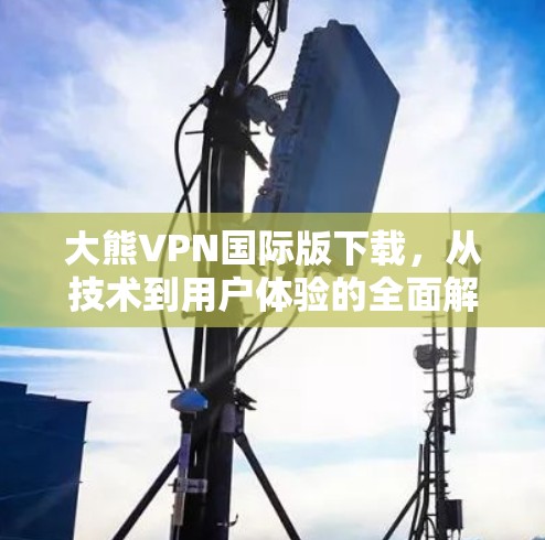 大熊VPN国际版下载，从技术到用户体验的全面解析