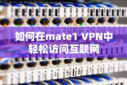 如何在mate1 VPN中轻松访问互联网 如何在mate1 VPN中轻松访问互联网