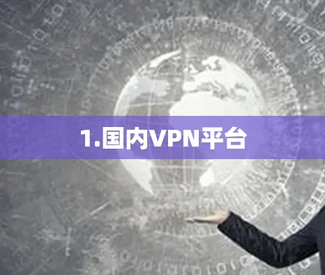 1.国内VPN平台
