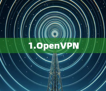 1.OpenVPN 1.OpenVPN