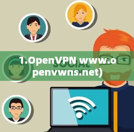1.OpenVPN www.openvwns.net)