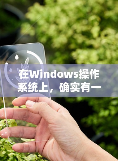 在Windows操作系统上，确实有一些免费VPN软件或服务，但它们通常不如WebVPN功能全面或可靠。以下是一些常见的免费VPN软件，它们可能无法满足所有用户的需求