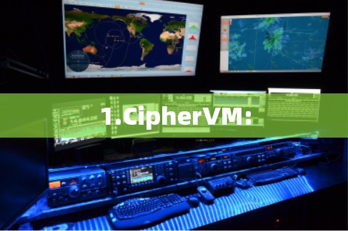 1.CipherVM: