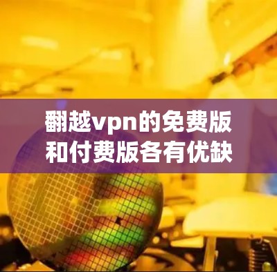 翻越vpn的免费版和付费版各有优缺点，具体取决于你的需求和使用场景。以下是对两种版本的详细总结