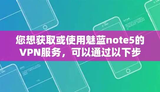 您想获取或使用魅蓝note5的VPN服务，可以通过以下步骤进行