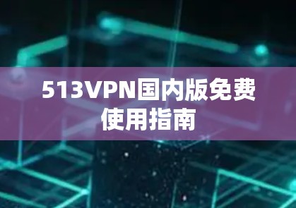 513VPN国内版免费使用指南