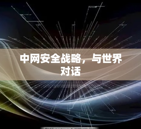 中网安全战略，与世界对话