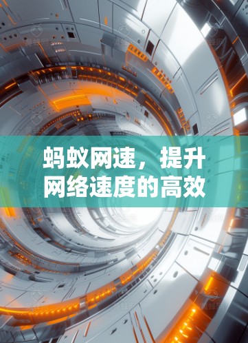 蚂蚁网速，提升网络速度的高效解决方案