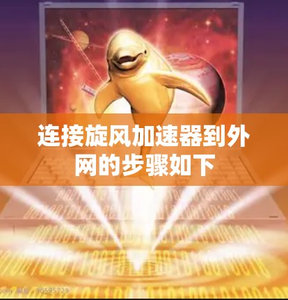 连接旋风加速器到外网的步骤如下