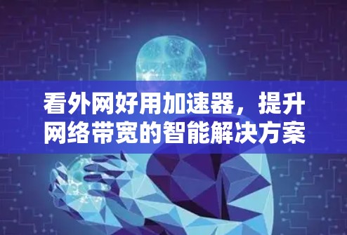 看外网好用加速器,提升网络带宽的智能解决方案 看外网好用加速器,提升网络带宽的智能解决方案