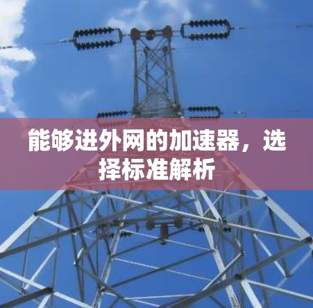 能够进外网的加速器，选择标准解析