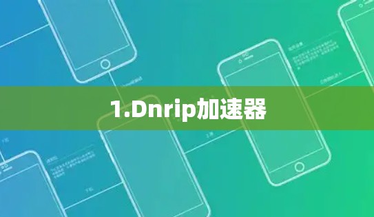 1.Dnrip加速器