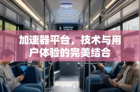加速器平台，技术与用户体验的完美结合
