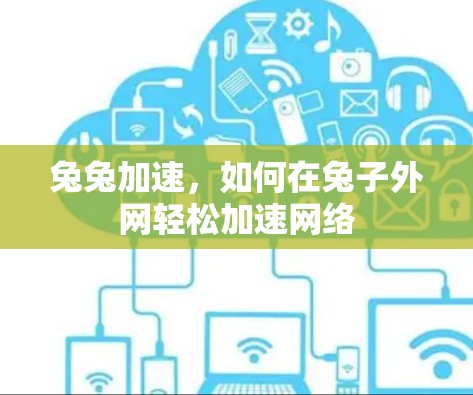 兔兔加速，如何在兔子外网轻松加速网络