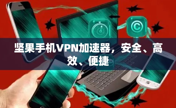 坚果手机VPN加速器，安全、高效、便捷