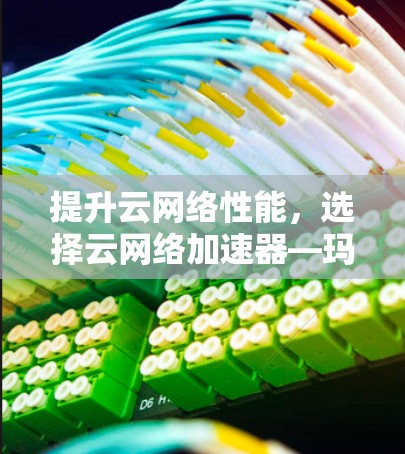 提升云网络性能，选择云网络加速器—玛瑙云外网加速器的详细指南