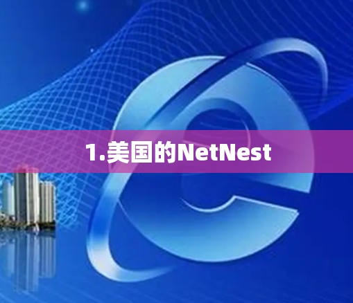 1.美国的NetNest 1.美国的NetNest