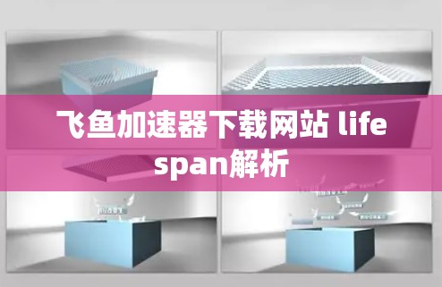 飞鱼加速器下载网站 lifespan解析 飞鱼加速器下载网站 lifespan解析