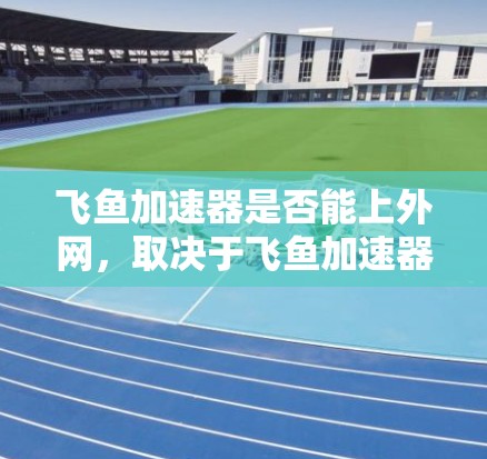 飞鱼加速器是否能上外网，取决于飞鱼加速器的具体类型和配置。以下是分步骤的解答