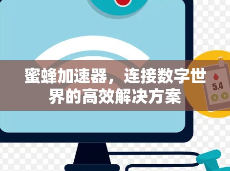 蜜蜂加速器，连接数字世界的高效解决方案