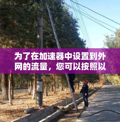 为了在加速器中设置到外网的流量，您可以按照以下步骤操作