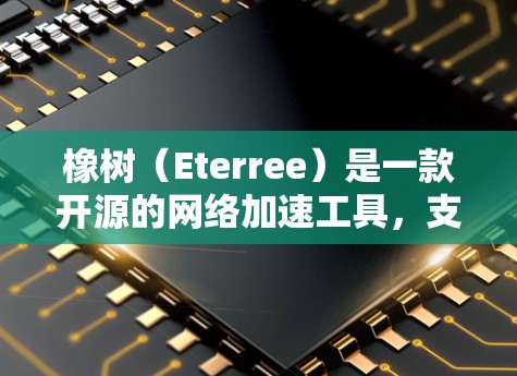 橡树（Eterree）是一款开源的网络加速工具，支持多种协议（TCP、UDP、HTTP、HTTPS、IP、Modbus）旨在提供高效、安全的网络连接。以下是对橡树的总结和分析
