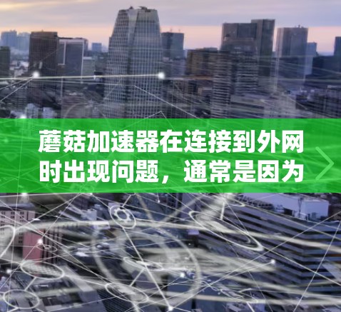 蘑菇加速器在连接到外网时出现问题,通常是因为外网连接不稳定、防火墙设置问题或其他网络问题。以下是一些步骤来解决这一问题 蘑菇加速器在连接到外网时出现问题,通常是因为外网连接不稳定、防火墙设置问题或其他网络问题。以下是一些步骤来解决这一问题