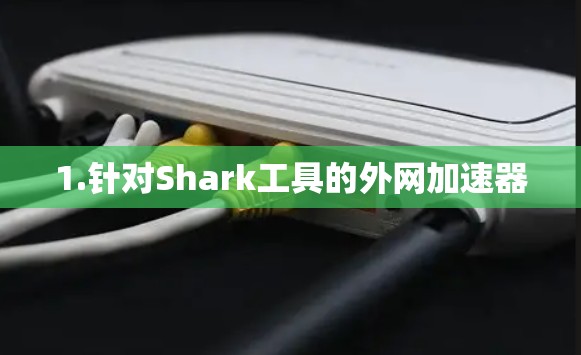 1.针对Shark工具的外网加速器 1.针对Shark工具的外网加速器