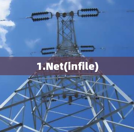 1.Net(infile)