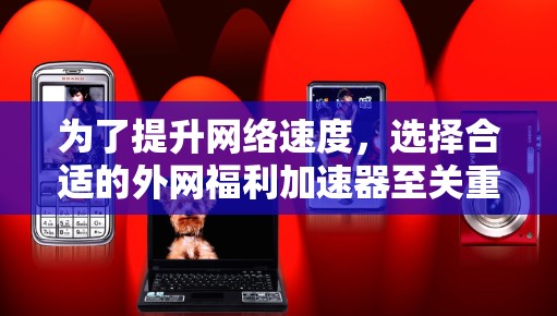 为了提升网络速度，选择合适的外网福利加速器至关重要。以下是对上述问题的有条理的解决方案