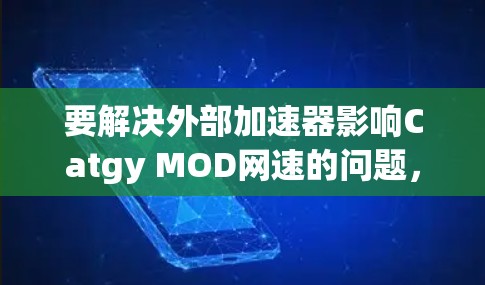 要解决外部加速器影响Catgy MOD网速的问题，可以按照以下步骤进行