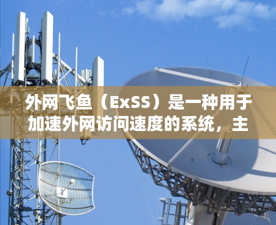 外网飞鱼（ExSS）是一种用于加速外网访问速度的系统，主要用于处理外部存储设备（如SSD、SSD+的读写操作。在ExSS中，外网飞鱼系统（SSS）通过缓存和缓存缓存等技术来优化数据读写性能