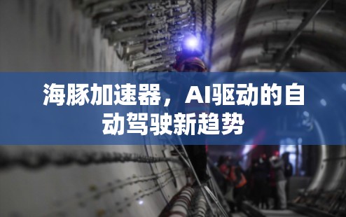 海豚加速器,AI驱动的自动驾驶新趋势 海豚加速器,AI驱动的自动驾驶新趋势