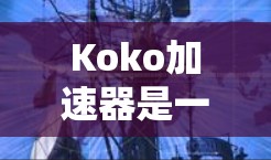 Koko加速器是一个支持多种网络加速功能的软件，广泛应用于下载文件、连接到更快的网络以及处理视频解码等任务。以下是关于Koko加速器的详细信息