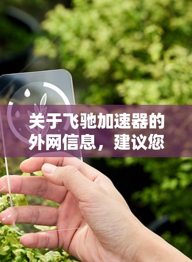 关于飞驰加速器的外网信息，建议您访问其官方网站或官方网站，通常需要通过官方渠道获取。具体的操作步骤可能包括