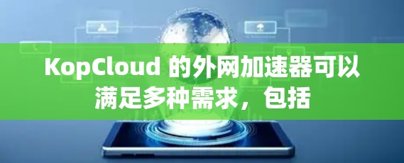 KopCloud 的外网加速器可以满足多种需求，包括