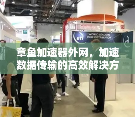 章鱼加速器外网，加速数据传输的高效解决方案