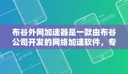 布谷外网加速器是一款由布谷公司开发的网络加速软件，专为在本地拥有服务器或服务器中心的用户设计，旨在帮助他们快速连接到外网，优化网络性能。以下是其详细介绍